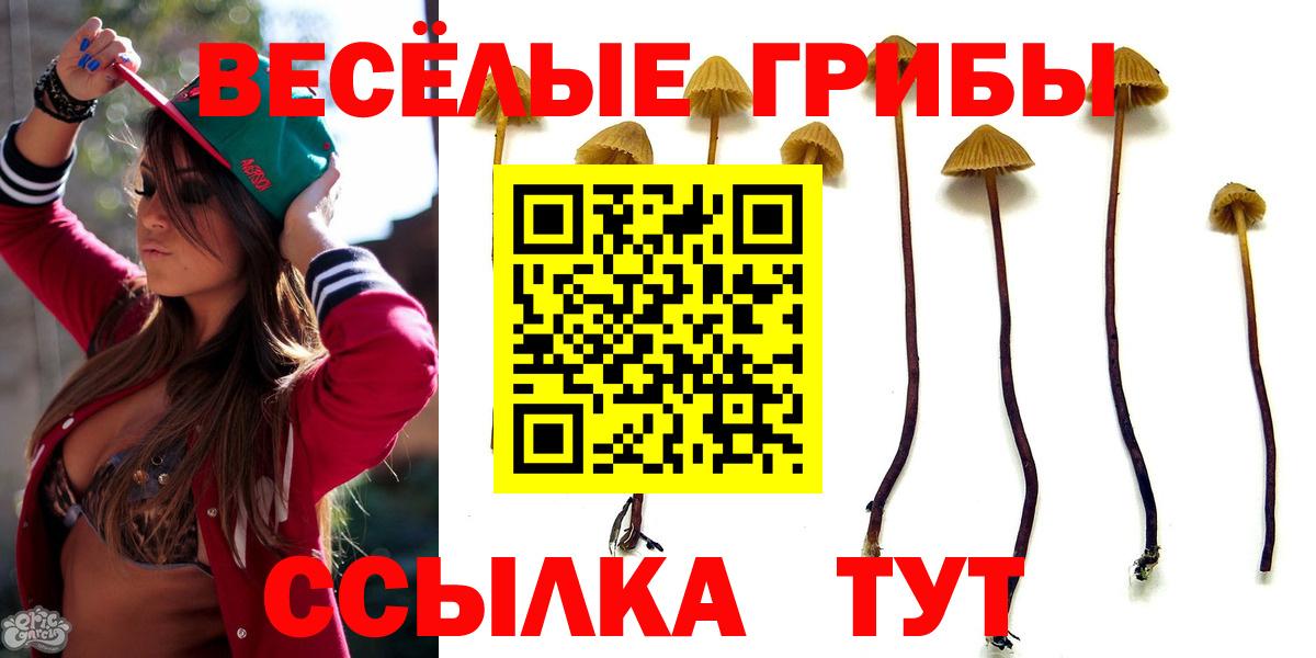 Галлюциногенные грибы ЛСД Кулебаки